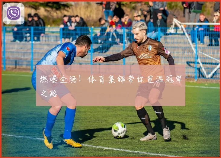燃爆全场!体育集锦带你重温冠军之路