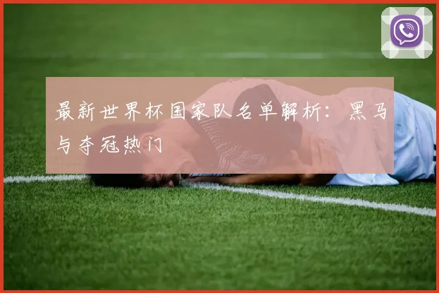 最新世界杯国家队名单解析：黑马与夺冠热门